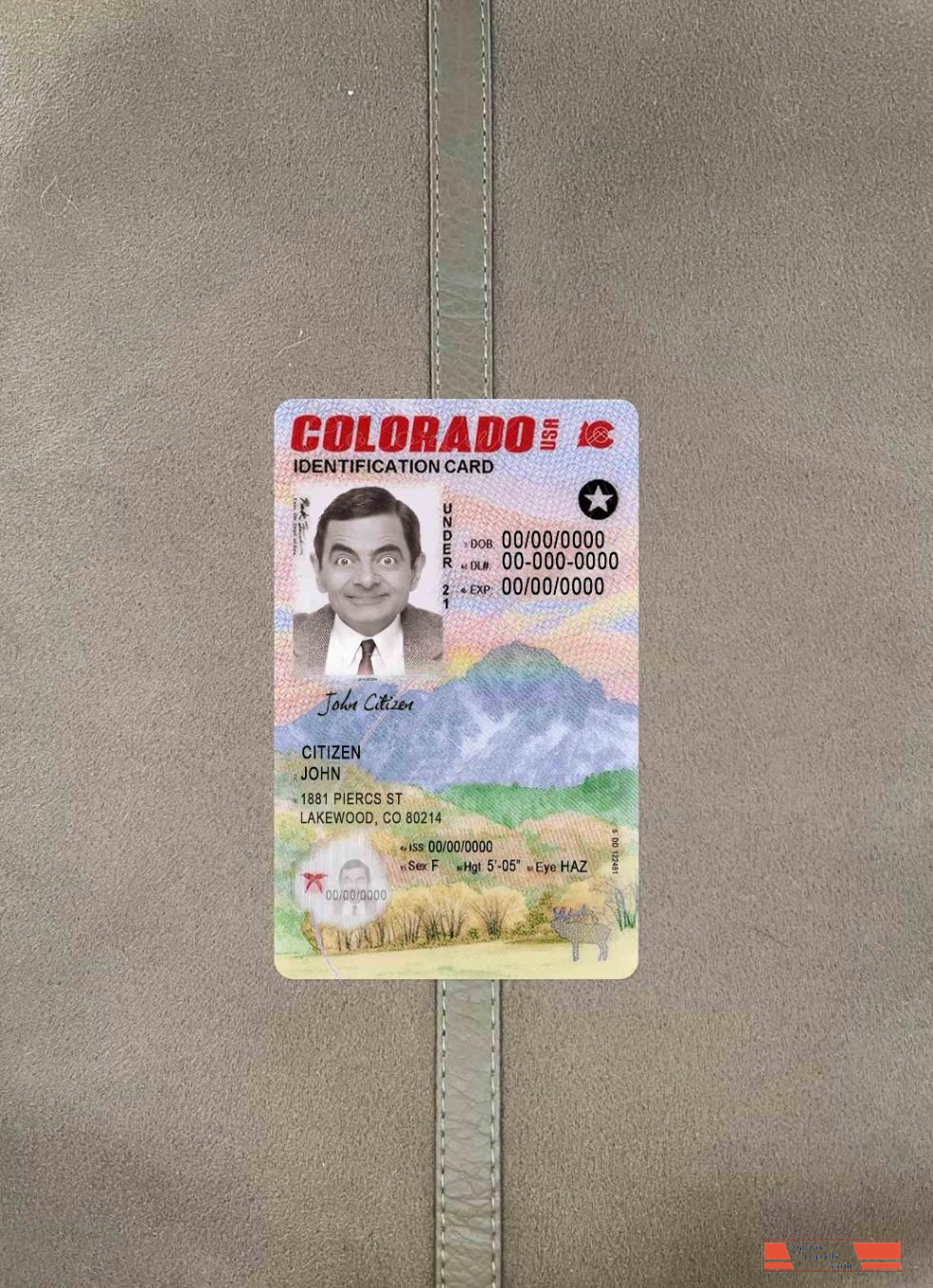 USA Colorado ID card under 21 photolook FRONT PSD template